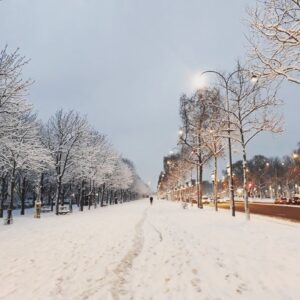 Champs Elysées sous la neige, en chemin vers le Welcome Hôtel Paris - hiver à Paris
